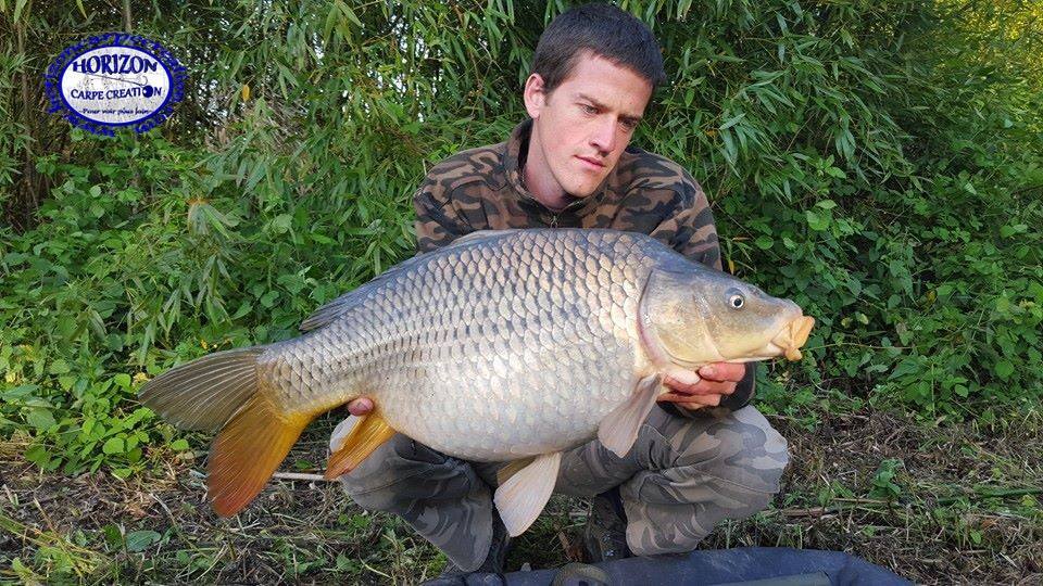 JULIEN DELHOUME - CONSULTANT HCC