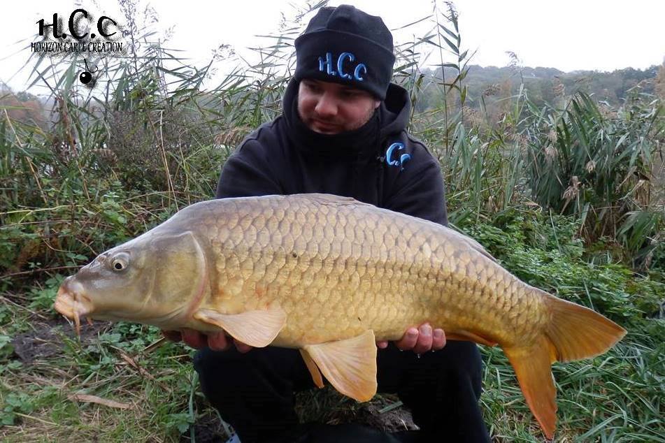 ANTHONY ZAMBELLI - TESTEUR HCC