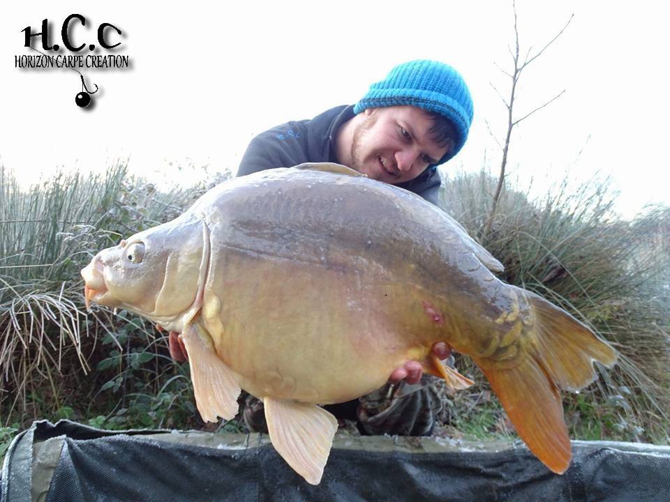 MICKAEL LAURENT - TESTEUR HCC