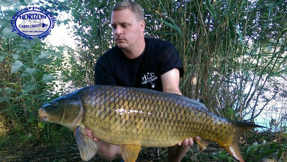 ALAN POYARD -  CONSULTANT HCC