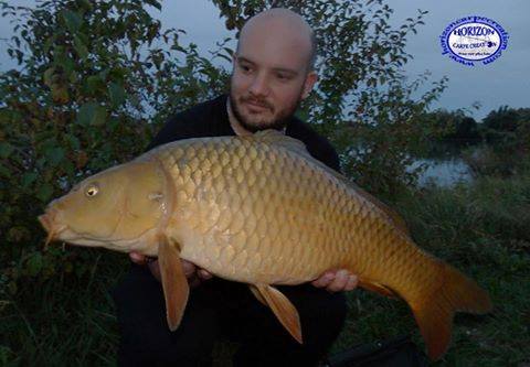 ANTHONY ZAMBELLI - TESTEUR HCC