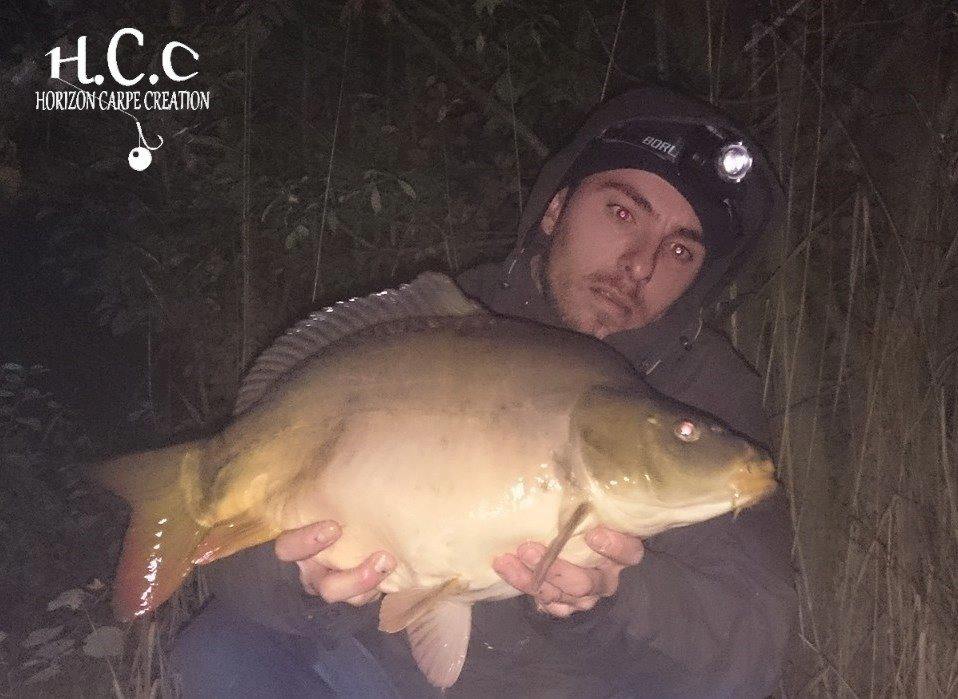 STEPHANE PAPON - CONSULTANT HCC