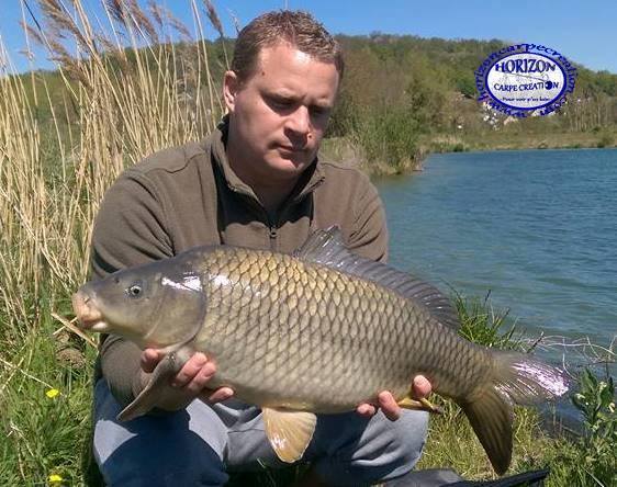 ALAN POYARD - CONSULTANT HCC