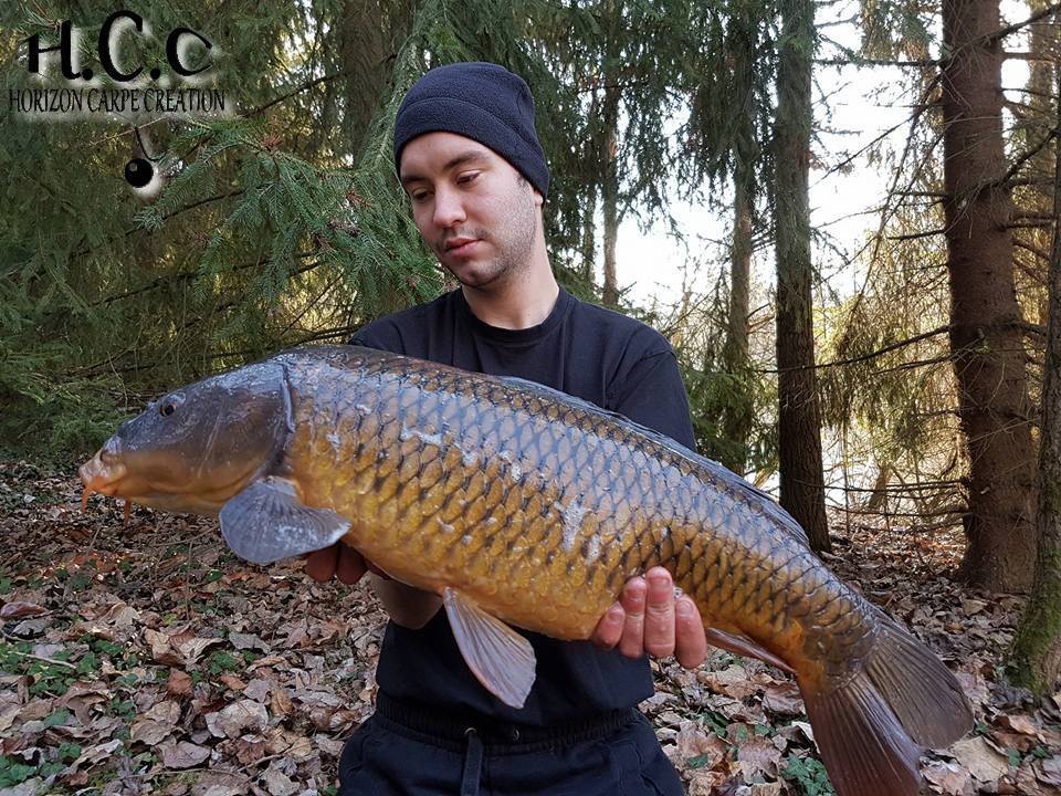 DONOVAN MEHAIGNOUL - CONSULTANT HCC