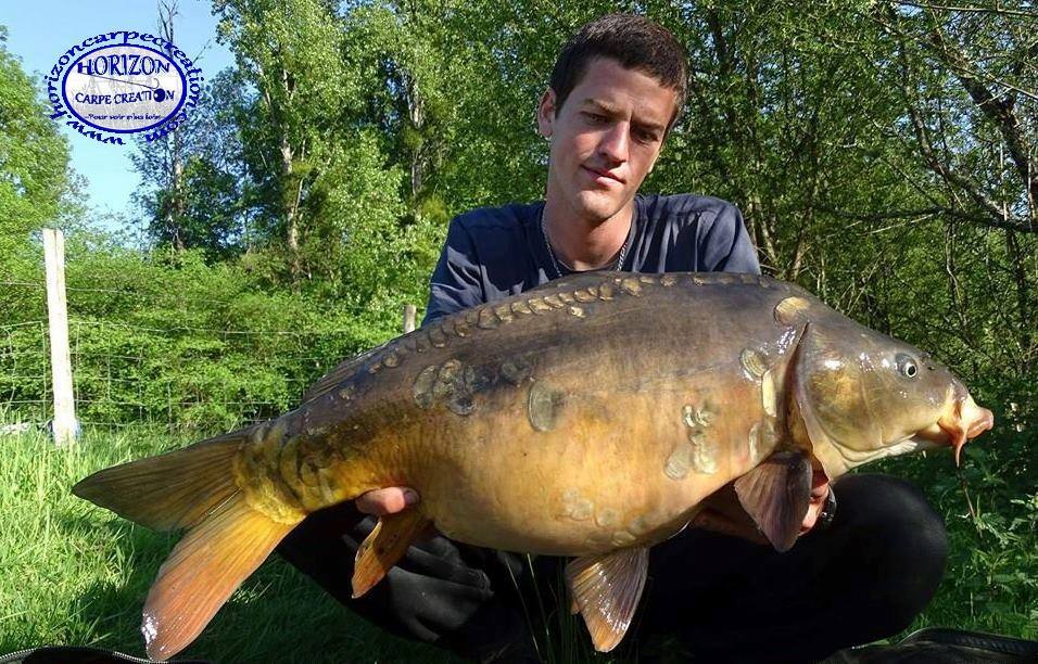 JULIEN DELHOUME - CONSULTANT HCC