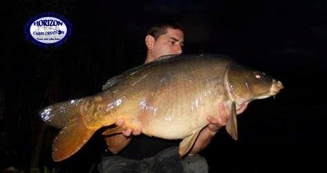 MICKAEL MACON - TESTEUR HCC