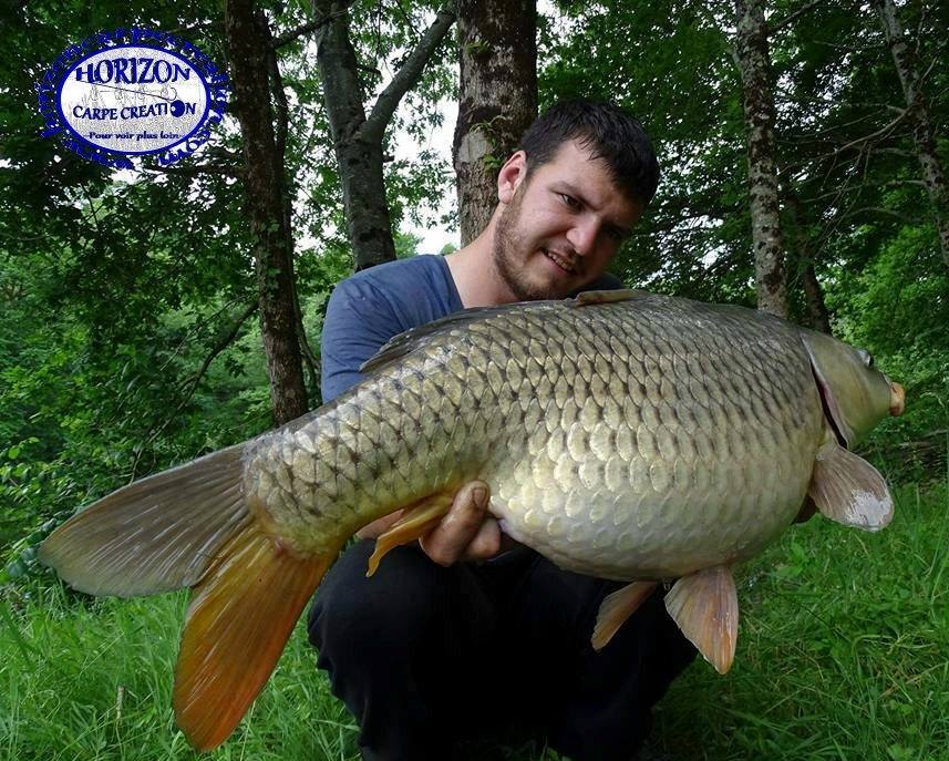 MICKAEL LAURENT - TESTEUR HCC
