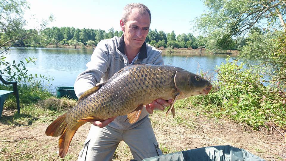SEBASTIEN LEJEUNE - CONSULTANT HCC