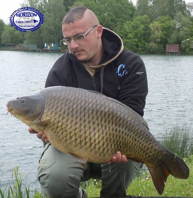 CEDRIC HAVY - CONSULTANT HCC
