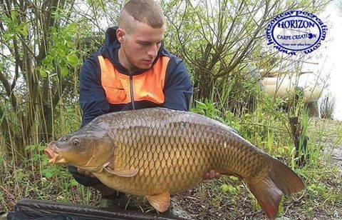 KEVIN - CONSULTANT HCC