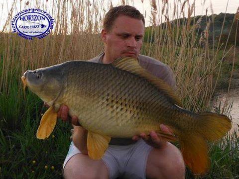 ALAN POYARD - CONSULTANT HCC