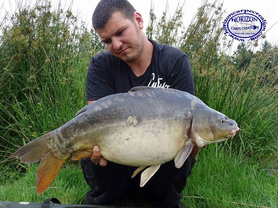 MICKAEL LAURENT - TESTEUR HCC
