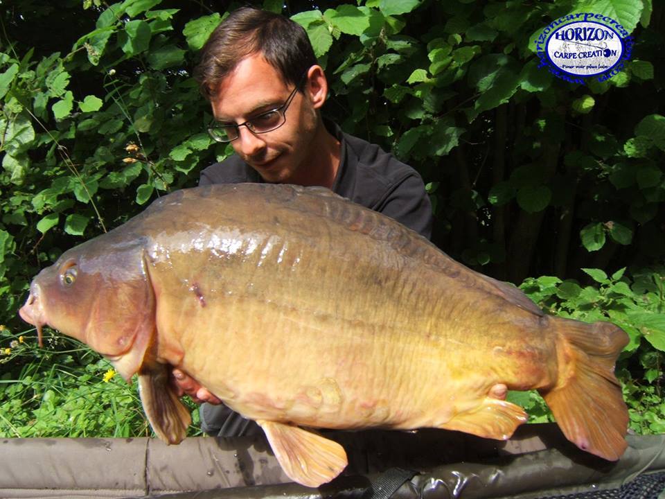 BAPTISTE FIORANI - TESTEUR HCC