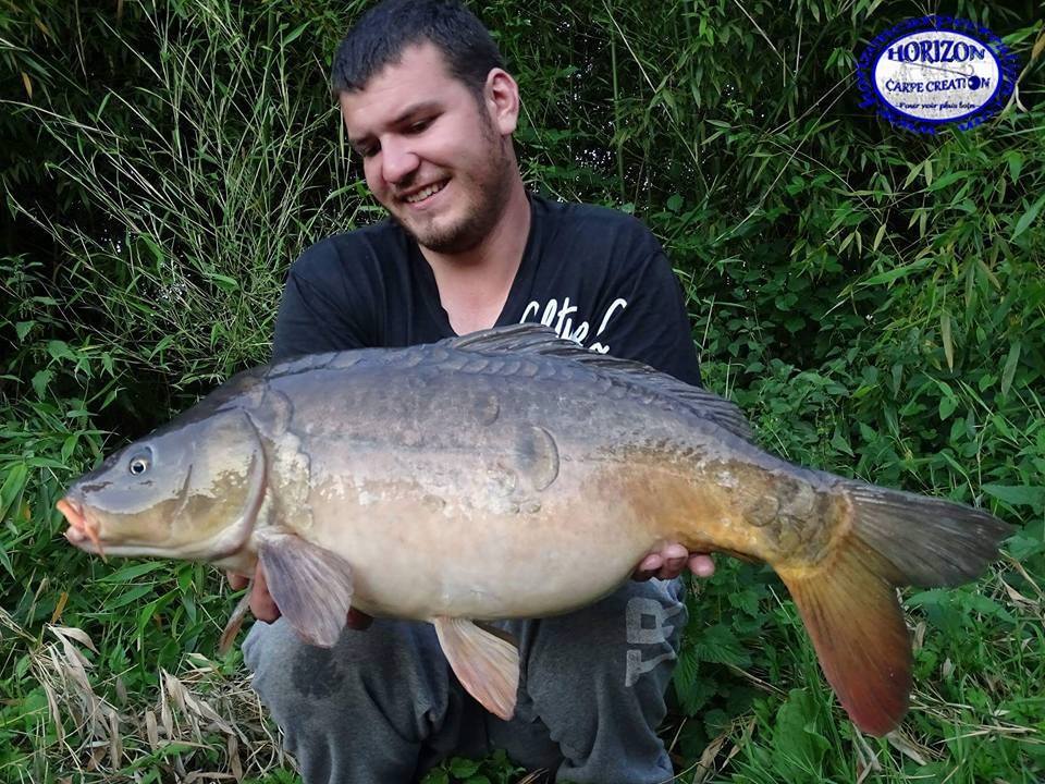 MICKAEL LAURENT - TESTEUR HCC