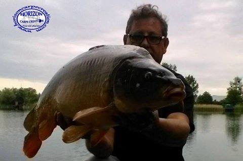 THIERRY MOINAT - CONSULTANT HCC