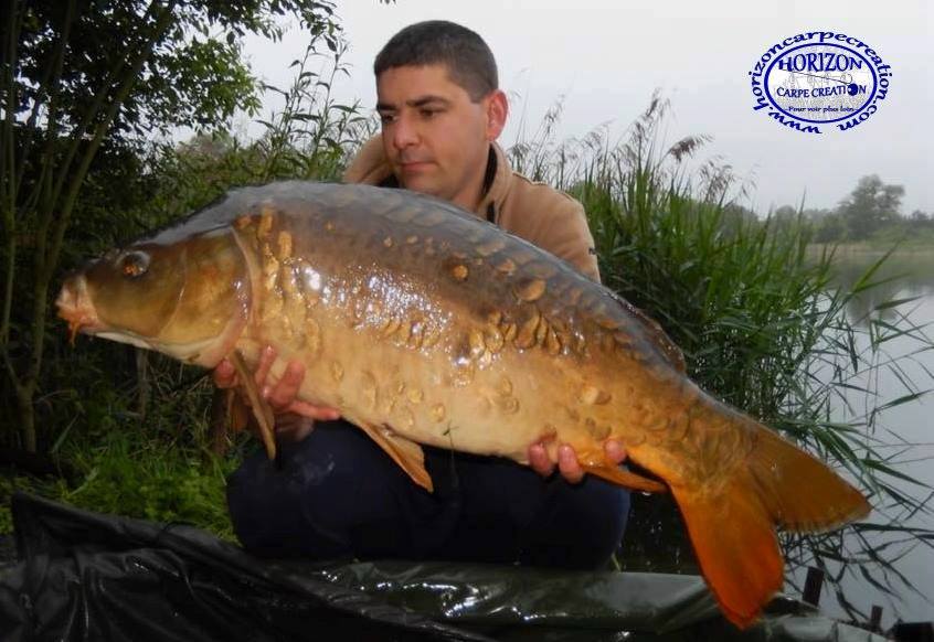 MICKAEL MACON - TESTEUR HCC