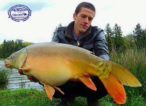 JULIEN DELHOUME - CONSULTANT HCC