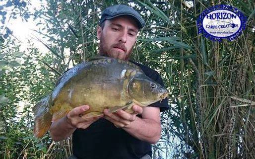STEPHANE PAPON - CONSULTANT HCC