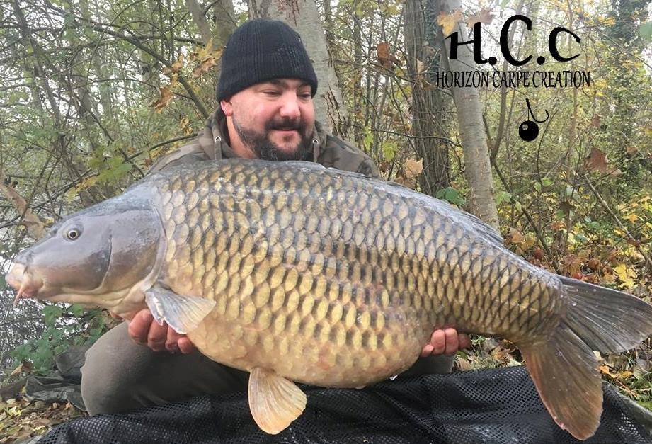 MICKAEL GAERTNER - TESTEUR HCC