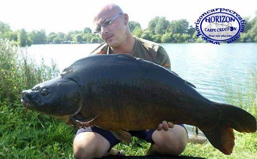 CEDRIC HAVY - CONSULTANT HCC