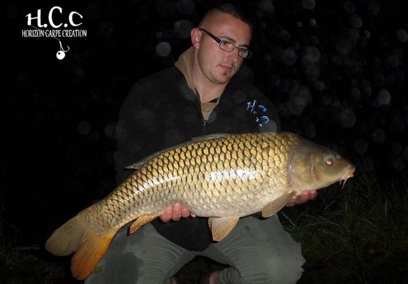 CEDRIC HAVY - CONSULTANT HCC