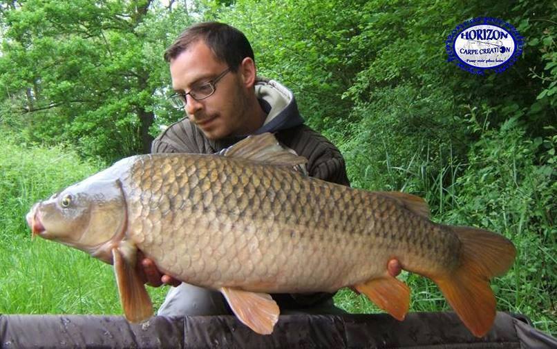 BAPTISTE FIORANI - TESTEUR HCC