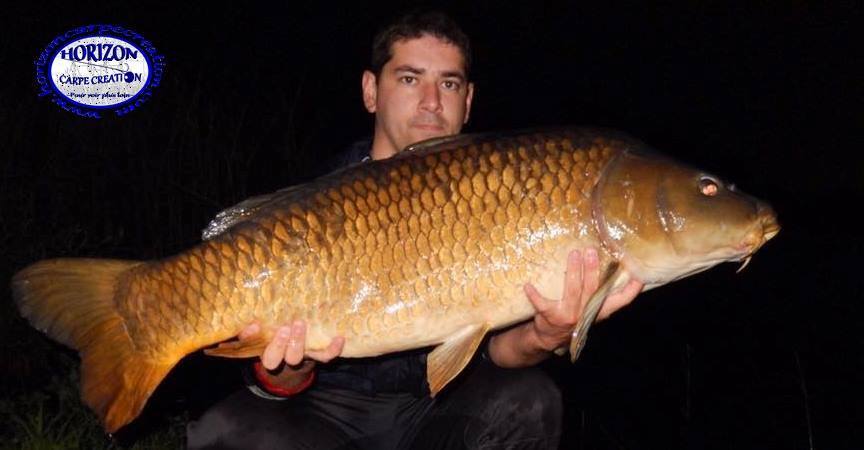 MICKAEL MACON - TESTEUR HCC