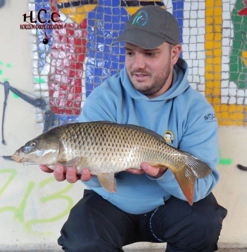 ANTHONY ZAMBELLI - TESTEUR HCC
