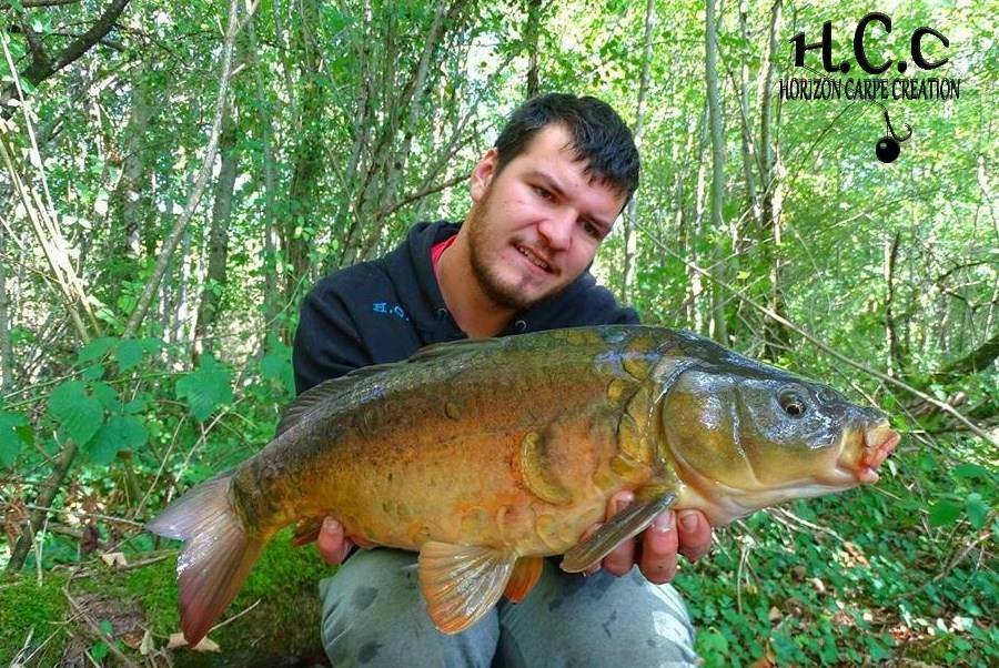 MICKAEL LAURENT - TESTEUR HCC