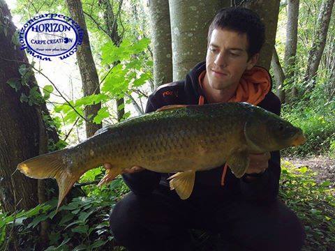 JULIEN DELHOUME - CONSULTANT HCC