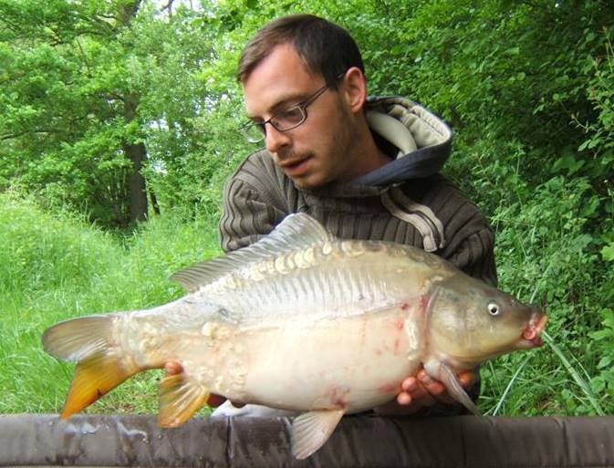 BAPTISTE FIORANI - TESTEUR HCC