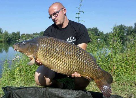 CEDRIC HAVY - CONSULTANT HCC