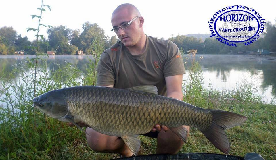 CEDRIC HAVY - CONSULTANT HCC