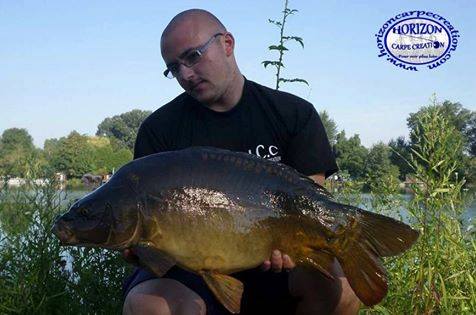 CEDRIC HAVY - CONSULTANT HCC