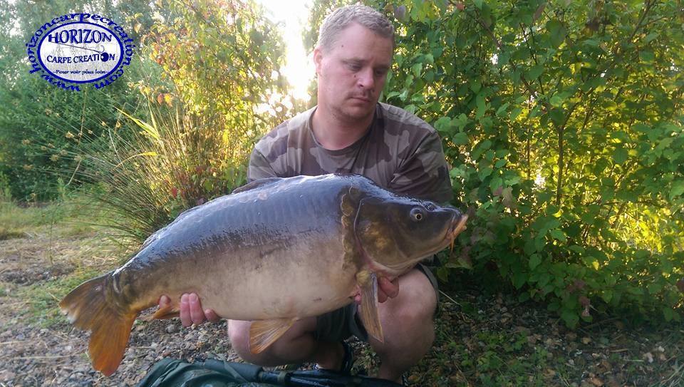 ALAN POYARD - CONSULTANT HCC