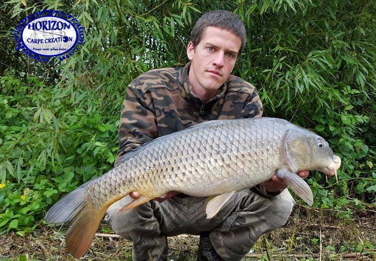 JULIEN DELHOUME - CONSULTANT HCC