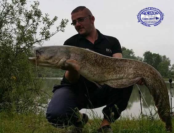 CEDRIC HAVY - CONSULTANT HCC
