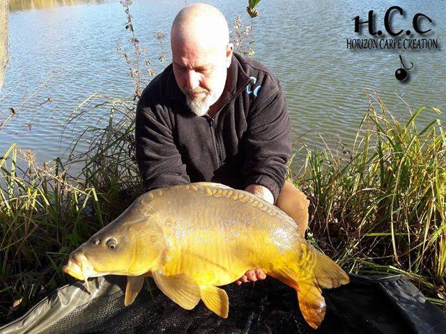 PHILIPPE MONTEGU - HCC