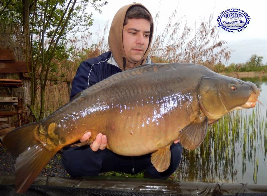 MICKAEL MACON - TESTEUR HCC