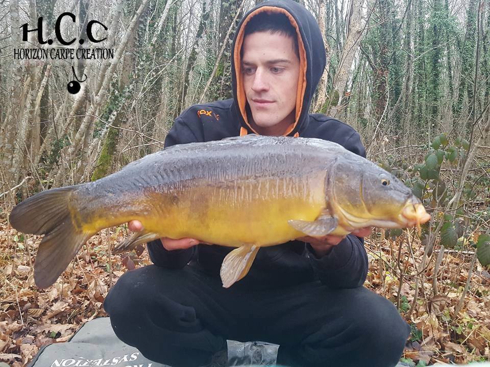 JULIEN DELHOUME - CONSULTANT HCC