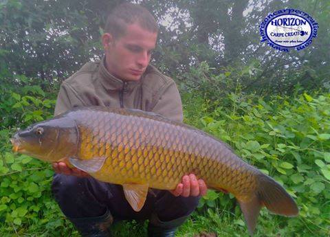 KEVIN  - CONSULTANT HCC