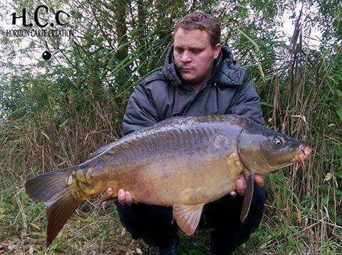 ALAN POYARD - CONSULTANT HCC