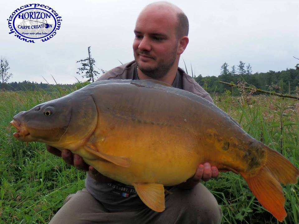 ANTHONY ZAMBELLI - TESTEUR HCC