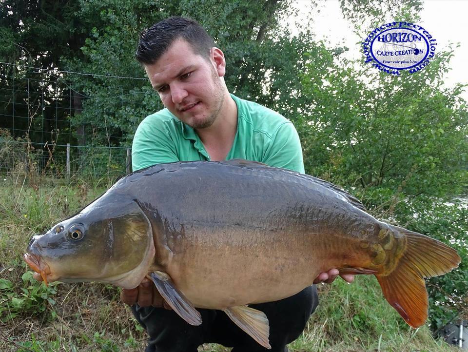 MICKAEL LAURENT - TESTEUR HCC