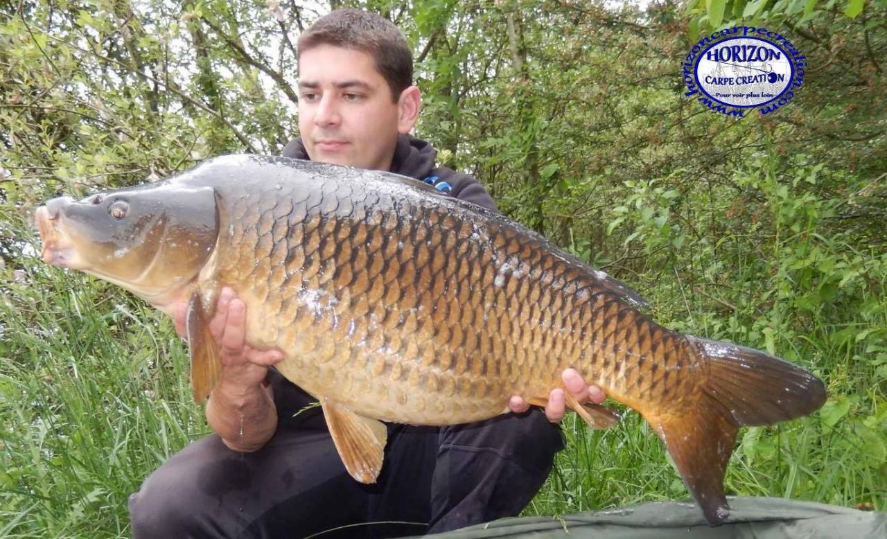 MICKAEL MACON - TESTEUR HCC