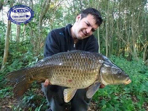 MICKAEL LAURENT  - TESTEUR HCC