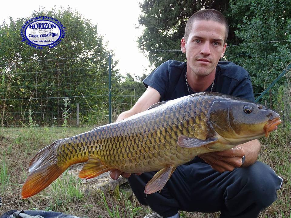 JULIEN DELHOUME - CONSULTANT HCC