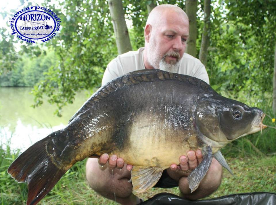 PHILIPPE MONTEGU - HCC
