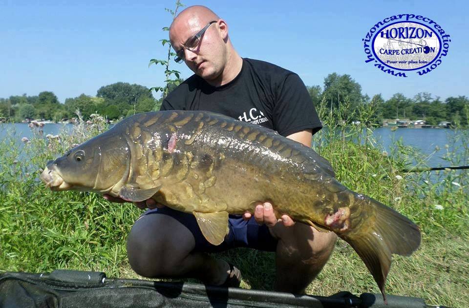 CEDRIC HAVY - CONSULTANT HCC