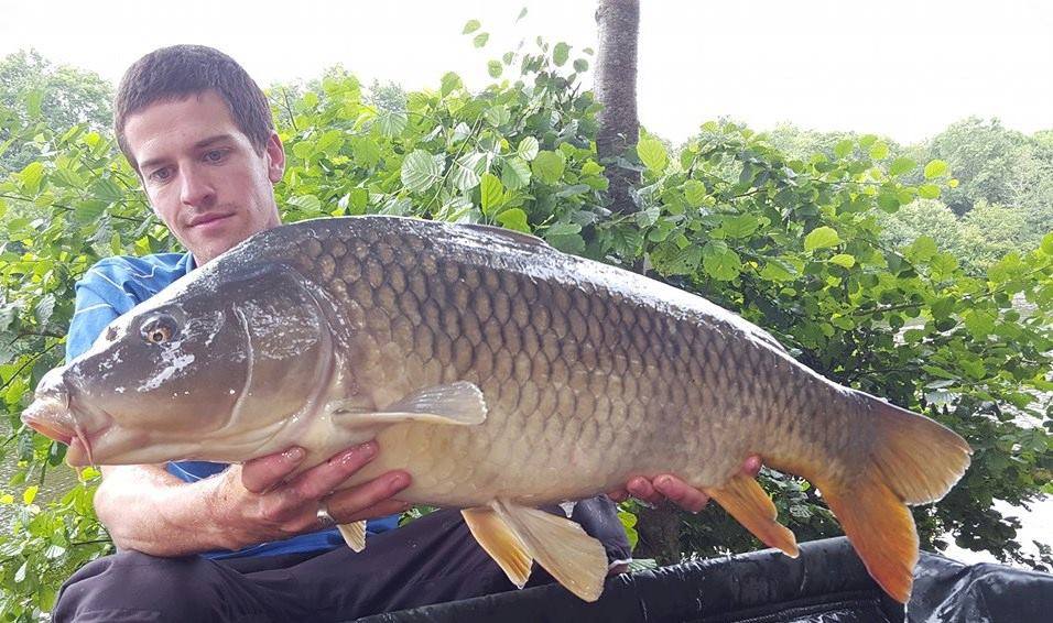 JULIEN DELHOUME - CONSULTANT HCC